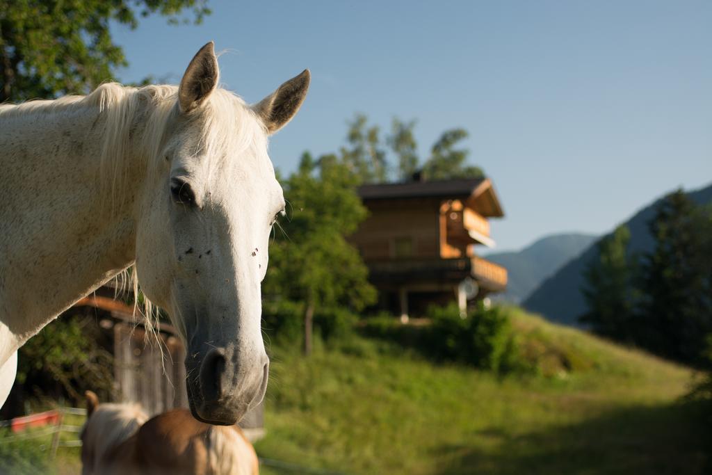 Hotel Ferienhaus Oetztal Sautens Esterno foto