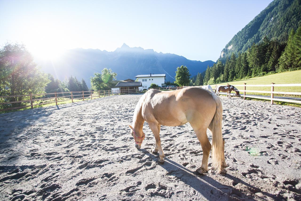 Hotel Ferienhaus Oetztal Sautens Esterno foto